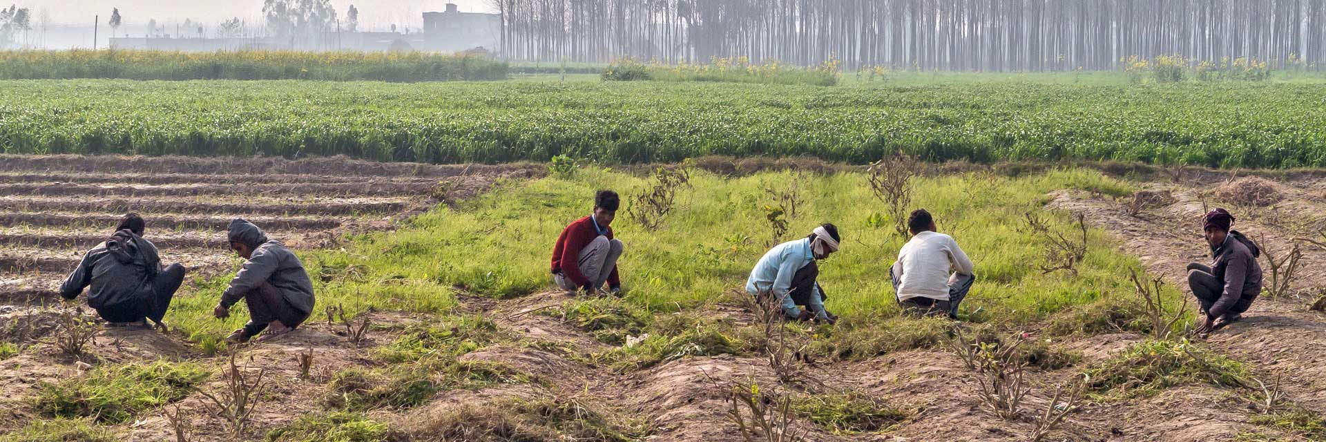 1920x640_Farm_25.jpg